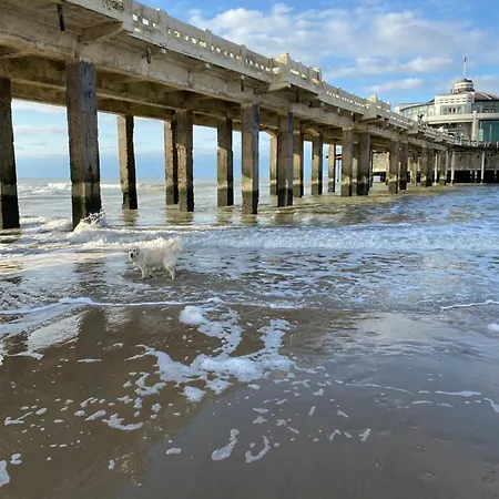 Liberty * Blankenberge