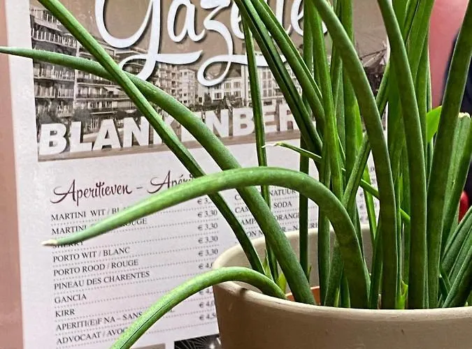 Liberty Hotel Blankenberge