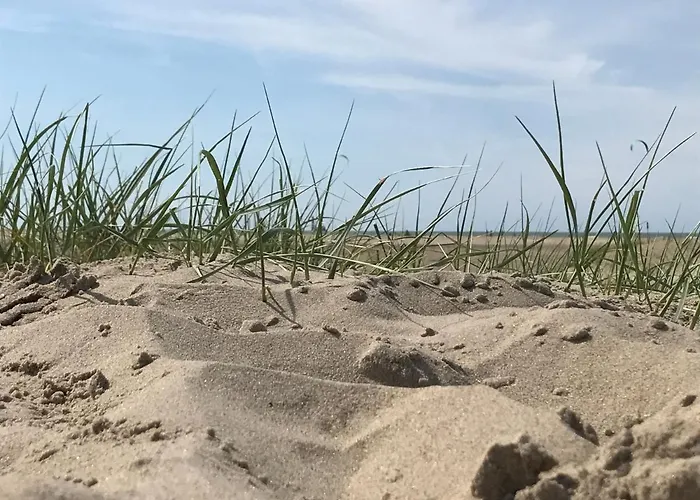 Liberty * Blankenberge