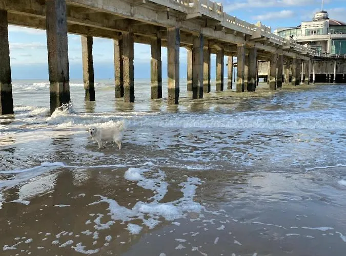 Liberty * Blankenberge